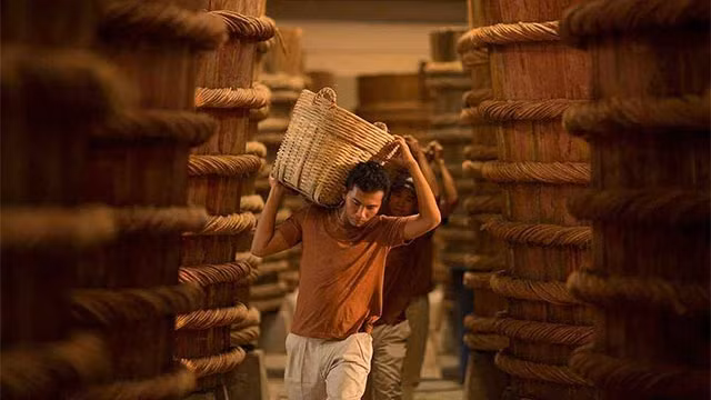 越南富国鱼露制作业被列入国家级非物质文化遗产名录。