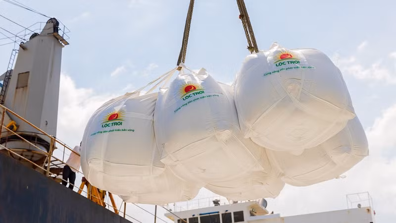 将越南大米品牌推向世界。