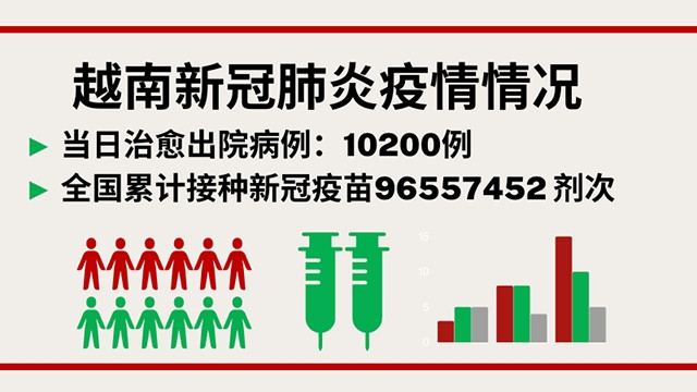 11月12日越南新增新冠确诊病例 8982例【图表新闻】