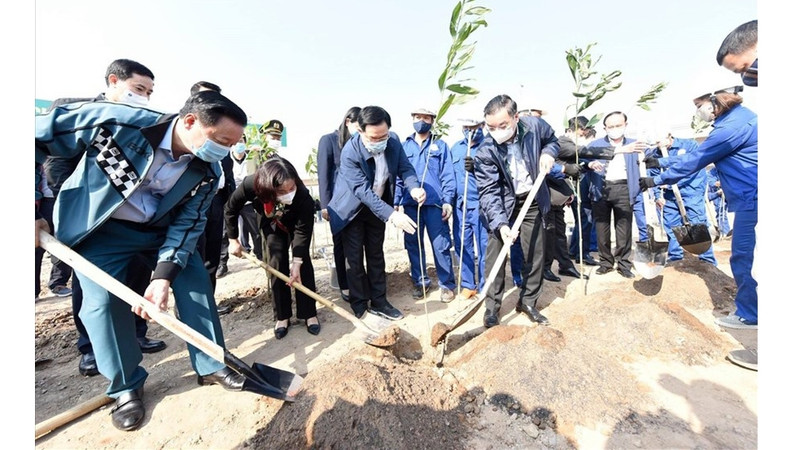 河内市领导参加2021辛丑年春季植树节活动。