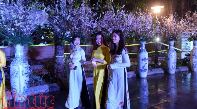 越南人民参观樱花展。（图片来源：信息报网）
