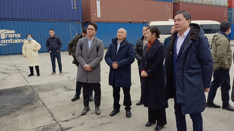 越南驻华大使馆商务参赞农德来一行在中国湖南省考察双边贸易合作机遇。（越南驻华商务处供图）