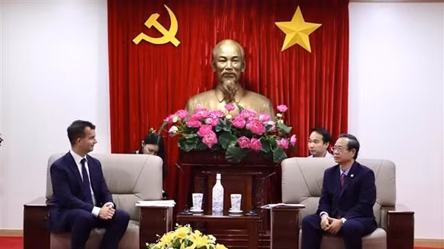 越南欧洲商会秘书长欧文·德巴里亚会见平阳省领导。（图片来源：越通社）