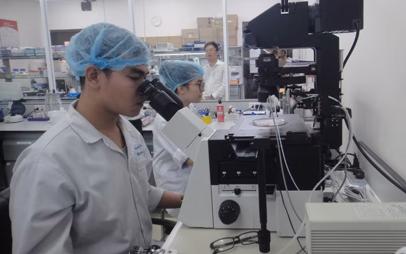 越南胡志明市国家大学的大学生参加科研活动。
