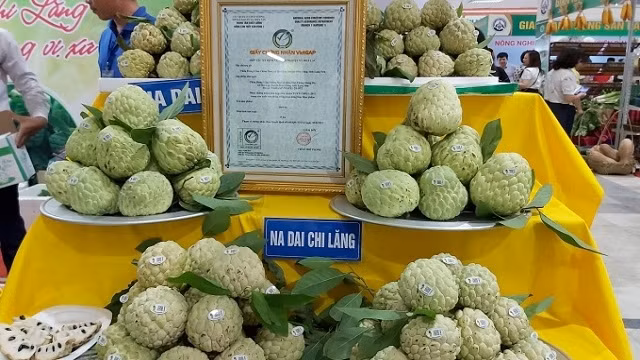 芝陵番荔枝产品。