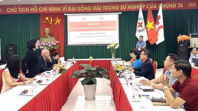 越南红十字协会与加拿大红十字协会之间工作会谈。（图片来源：越通社）