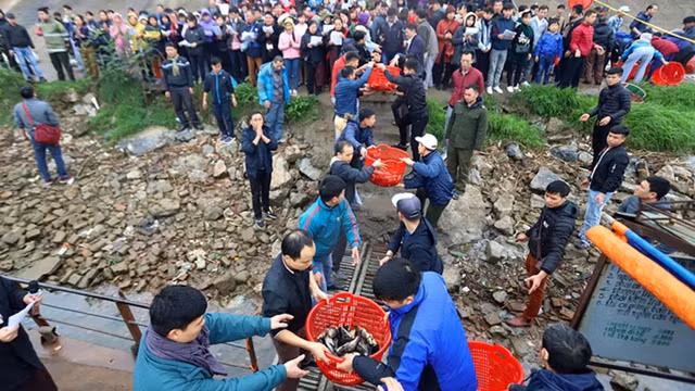 规模巨大的放生仪式。