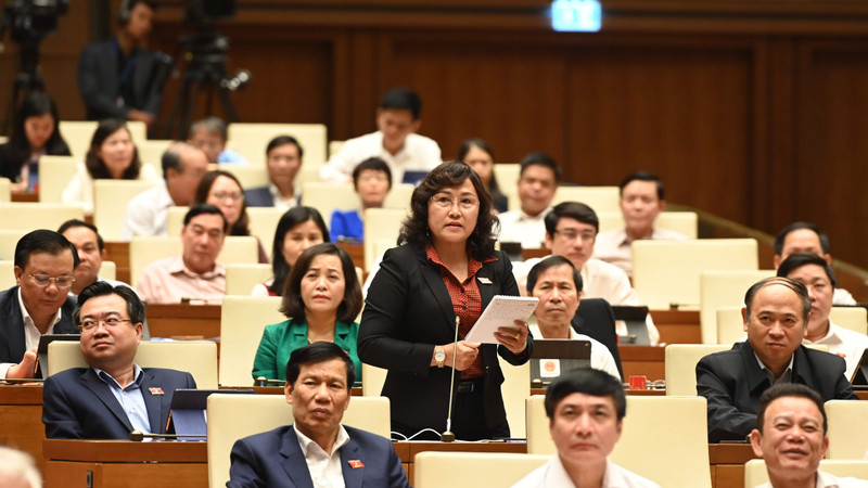 坚江省国会代表发表讲话。（维灵 摄）