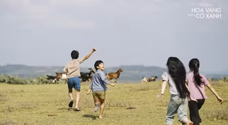 越南电影《我看见绿色草地上是金色花朵》将在2016年法语国家电影节期间放映。