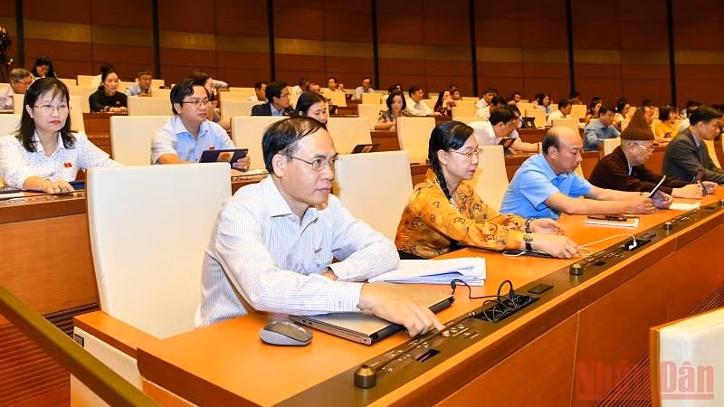 国会代表表决通过关于批准国家预算决算的决议。