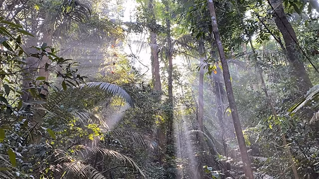 朱门雷国家公园是热爱探索游客的不可错过的目的地。（图片来源：梅原 摄）