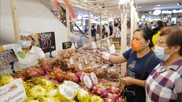 努力把越南商品送到泰国消费者手中。
