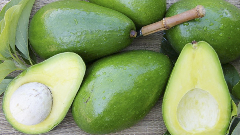 越南鳄梨正式打入澳大利亚市场。