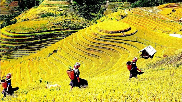 越南西北山林令人痴迷的木江界。