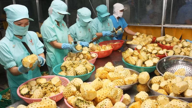 中国是越南蔬果的最大出口市场。