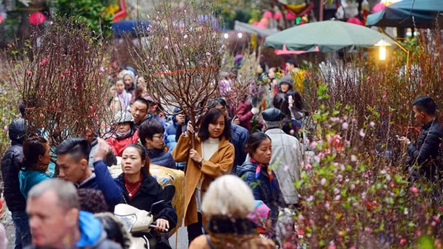 迎春花市。