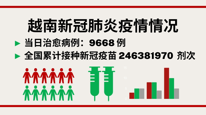 8月2日越南新增新冠确诊病例 2017【图表新闻】