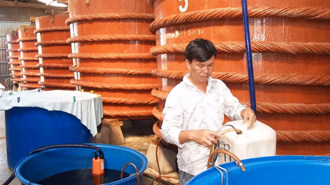 越南某家传统鱼露加工厂。