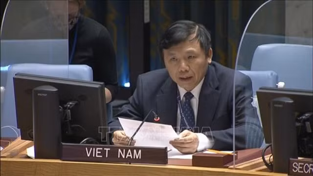 越南常驻联合国代表团团长邓廷贵大使。
