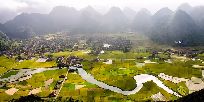 北山稻谷。（图片来源：vnexpress.net）