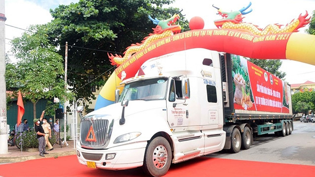 启程出口到欧盟和英国市场的一批马江-山萝龙眼。（图片来源：越通社）