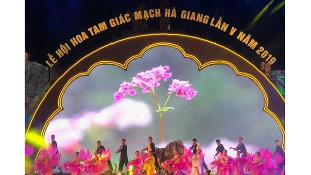 “岩石高原之粉色” 荞麦花节拉开序幕。