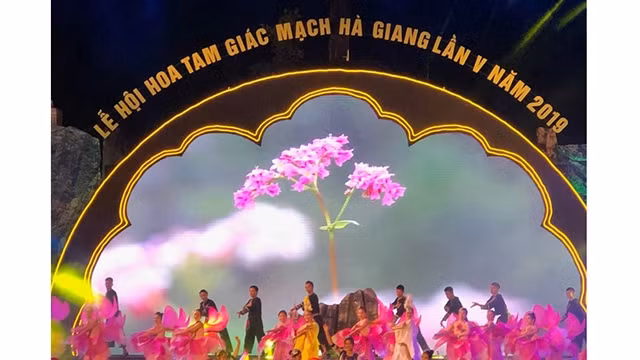 “岩石高原之粉色” 荞麦花节拉开序幕。