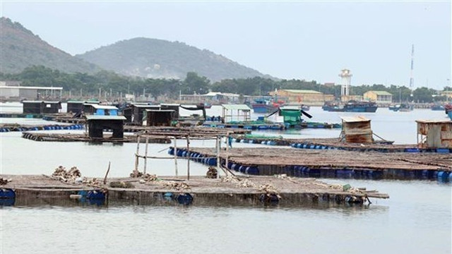 越南宁顺省提高海上水产养殖经济效益