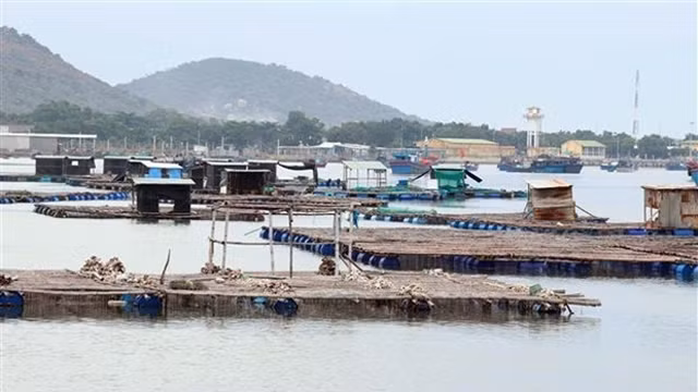 越南宁顺省提高海上水产养殖经济效益