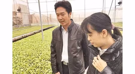 阮宏章先生介绍新菜种。