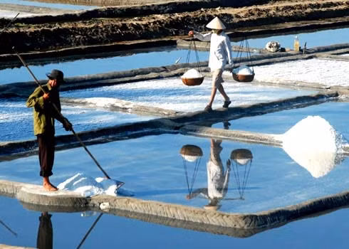 广义省：沙黄盐价格上涨（图）