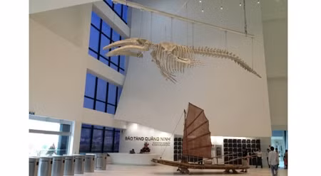 广宁省博物馆的一角。