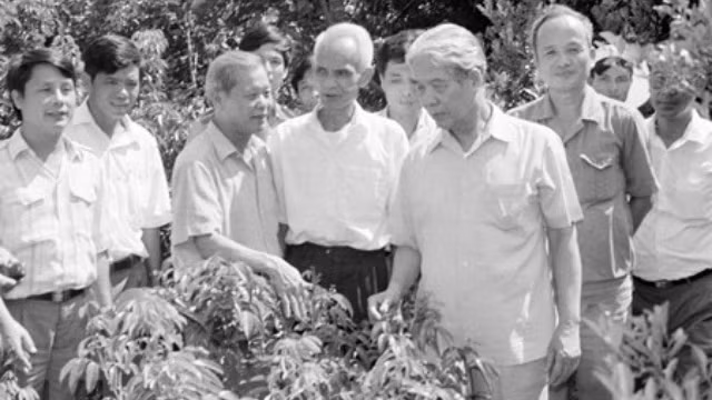 杜梅同志1994年9月造访北江省致富能手、优秀家庭。（图片来源：越通社）