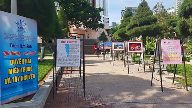参展作品。