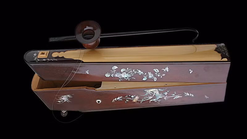  越南民族乐器——独玄琴。