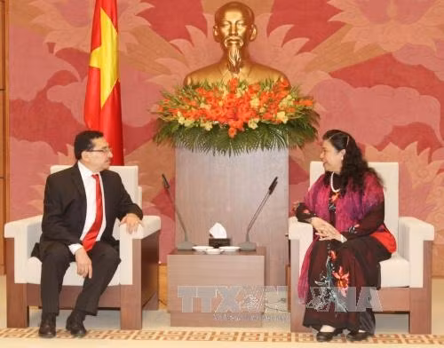 国会副主席丛氏放会见萨尔瓦多法解阵全国执委会总协调员梅达多•冈萨雷斯。（图片来源：越通社）