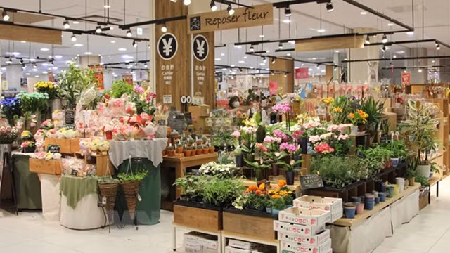 千叶永旺梦乐城幕张新都心40%的花卉是进口的。
