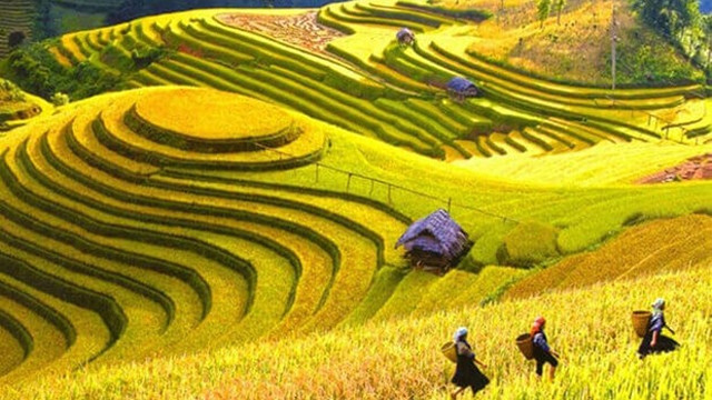 附图。