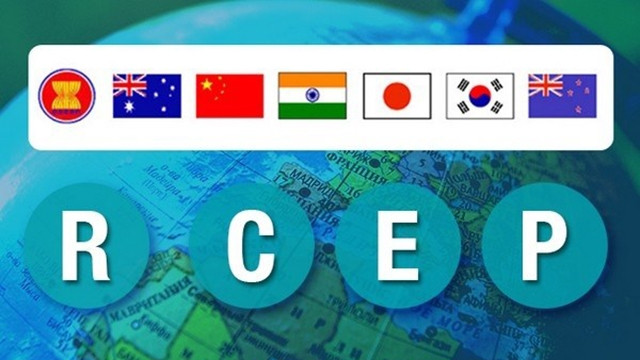 附图。（图片来源：越通社）