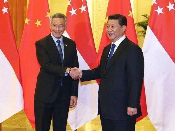 中共中央总书记，中国国家主席习近平与新加坡总理李显龙。（图片来源：越通社）