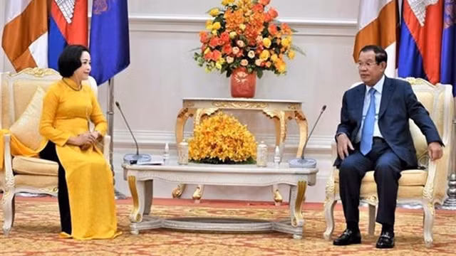 埔寨首相洪森会见越柬友好协会主席阮氏青。