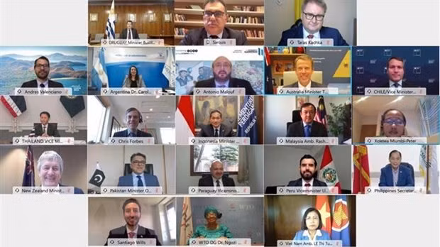 凯恩斯集团部长级会议以视频方式举行。（图片来源：越通社）