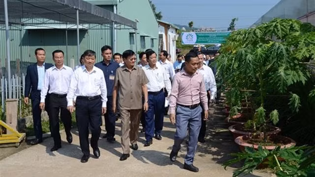 老挝政府总理通伦•西苏里一行造访岘港市Afarm 高科技蔬菜生产区。