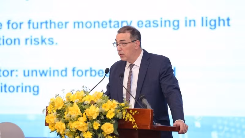 IMF驻越办事处首席代表弗朗索瓦·潘肖发言。