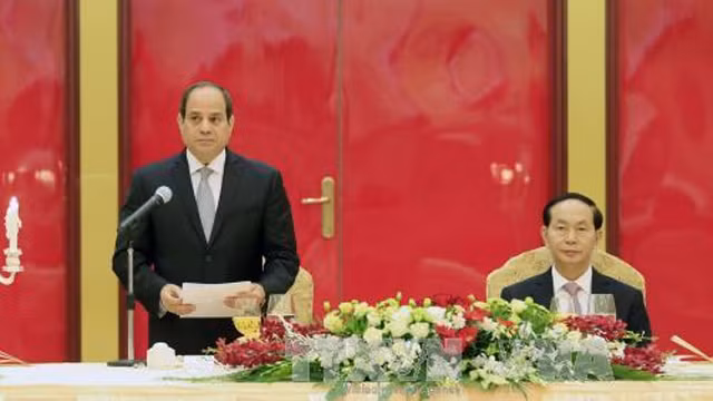 埃及总统发表讲话。（图片来源：越通社）