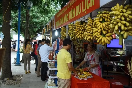 游客参观一件展位。（图片来源：清化报网）