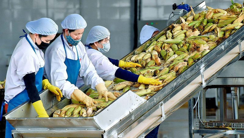 资料图。（来源：越通社）