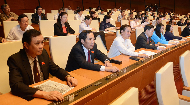 国会代表表决通过决议。维玲 摄