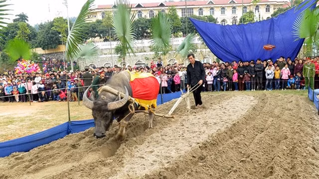 现场实拍。（图片来源：越通社）