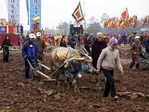 2013年越南河南省碗山籍田节拉开序幕